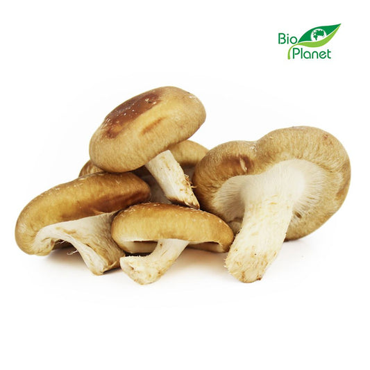 Grzyby Shiitake Świeże BIO (Polska) (Około 1 kg)